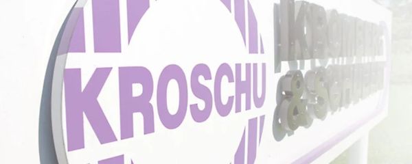 2023年全球汽車線束巨頭巡禮 驅動未來出海的海外主力軍